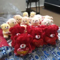 خرس ولنتاین