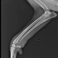 فروش دستگاه رادیولوژی پرتابل همراه با کاست DR|پزشکی|اهواز, کیان اباد|دیوار