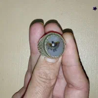 انگشتر شجر عقاب