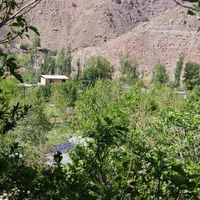 اجاره روزانه ویلا استخر دار در کوهپایه|اجارهٔ کوتاهمدت ویلا و باغ|کرمان, |دیوار