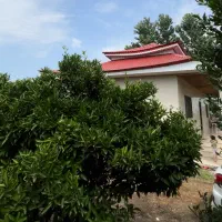 فروش-باغ-ویلا-زمین804-متر-مالک-هستم