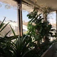 استخدام «کارشناس تولید محتوا و سناریونویس»