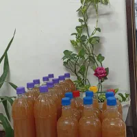 محصولات ارگانیک وحدتی تضمینی باارسال رایگان|خوردنی و آشامیدنی|تربتحیدریه, آغوی|دیوار