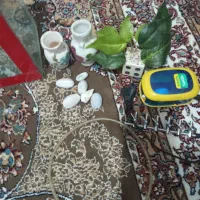 آکواریوم|ماهی|سقز, |دیوار