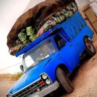 نیسان مدل ۸۱