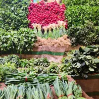 نیرو سبزی فروش حرفه ای