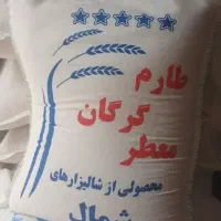 برنج هاشمی برنج طارم شمال
