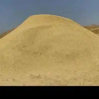 کاه گندم نرم و سفید