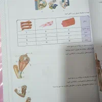 کتاب جامع ماجرای بیست خیلی سبز هشتم|کتاب و مجله آموزشی|اهواز, کیانشهر|دیوار