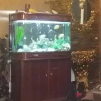 اکواریوم کمد دار لوکس