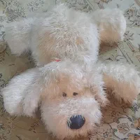 انواع اسباب بازی جذاب با قیمت توافقی