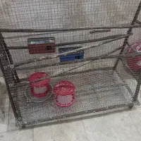 قفس بزرگ کردن جوجه مرغ و اردک و بوقلمون و غاز|لوازم جانبی حیوانات|قم, بکایی|دیوار
