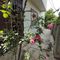 82متر ۲خواب فول امکانات در هچیرود نزدیک نمک آبرود|فروش آپارتمان|هچیرود, |دیوار