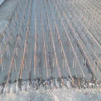 تیرچه سازان غرب