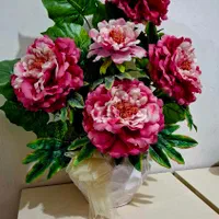در حد نو برای کادو بردن