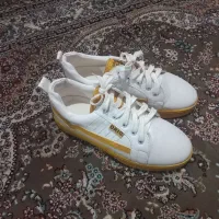 کتونی نو