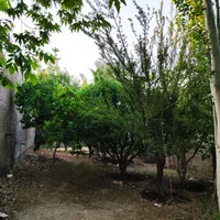 فروش باغچه1500 متری|فروش خانه و ویلا|شیراز, آبیاری|دیوار