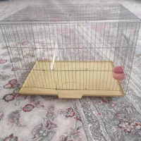 قفس