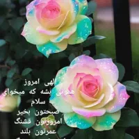 نیاز ب ضامن دارم