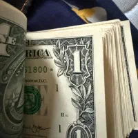 تک دلاری کلکسیونی