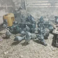 09379930010