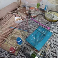 قفس پرنده