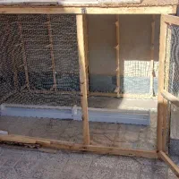 قفس چوبی بزرگ|لوازم جانبی حیوانات|تربت‌حیدریه, هاشمی‌نژاد|دیوار