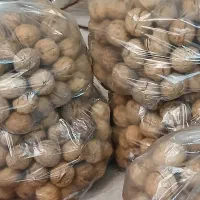 فروش گردو|خوردنی و آشامیدنی|اصفهان, شهرک گل نرگس|دیوار