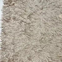پادری