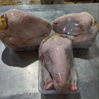 گوشت، کله پاچه ،