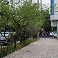 مغازه تجاری