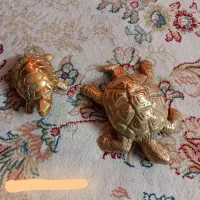لاک پشت برنجی خیلی قدیمی مادر با بچه