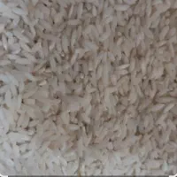 فروش برنج چمپا