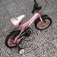 دوچرخه دخترونه|دوچرخه، اسکیت، اسکوتر|رشت, پاستوریزه|دیوار