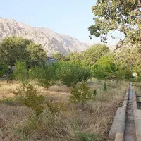 فروش باغ ۵۶۰۰ متری|فروش دفتر صنعتی، کشاورزی، تجاری|یاسوج, |دیوار