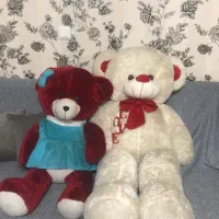دو عدد عروسک خرسی