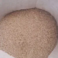 برنج امساله هاشمی الموت