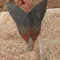 نعر کن تیلر