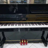 پیانو آکوئستیک|پیانو، کیبورد، آکاردئون|شیراز, پارک آزادی|دیوار