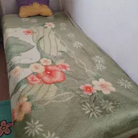 تخت  یک نفره همراه با تشک  میز   پتو  پشتی