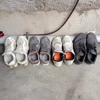 هر چهار تاسایز۴۴