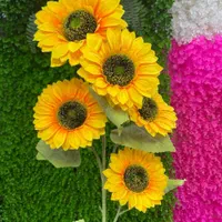 واگذاری مغازه گلفروشی مصنوعی بابیست سال سابقه|گل مصنوعی|گرگان, |دیوار