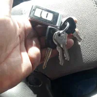 پیداشده