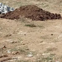 فروش کود گاوی و گوسفندی سرند شده