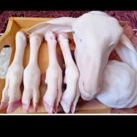 کله وپاچه|خوردنی و آشامیدنی|شیروان (خراسان), |دیوار