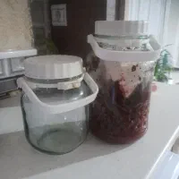 شیشه جای رب