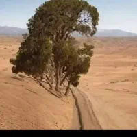باغبانی.روستاهای اطراف قم.