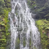 قطعه ویلایی ۱۰۷۰ متری در بهترین کوی هروی