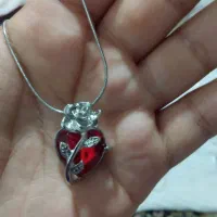 بدلیجات رنگ ثابت|بدلیجات|تبریز, |دیوار