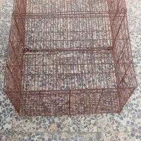 قفس پرنده